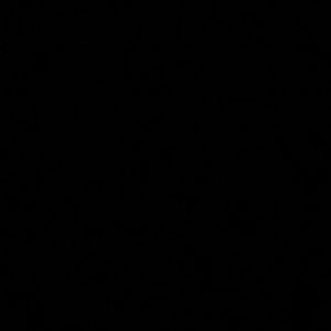 Meet your Posher, Porter